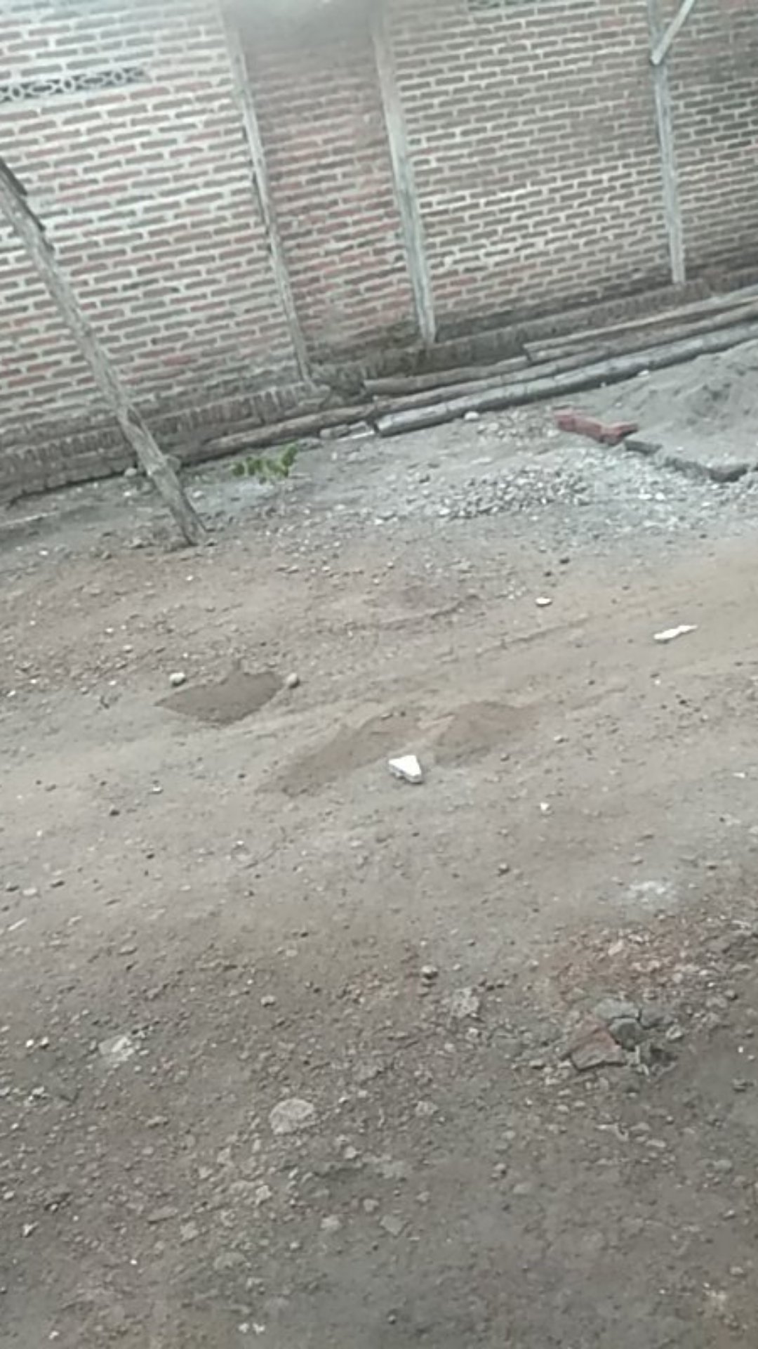 Tissue Paseo Smart Travel Pack 2 Ply 50s