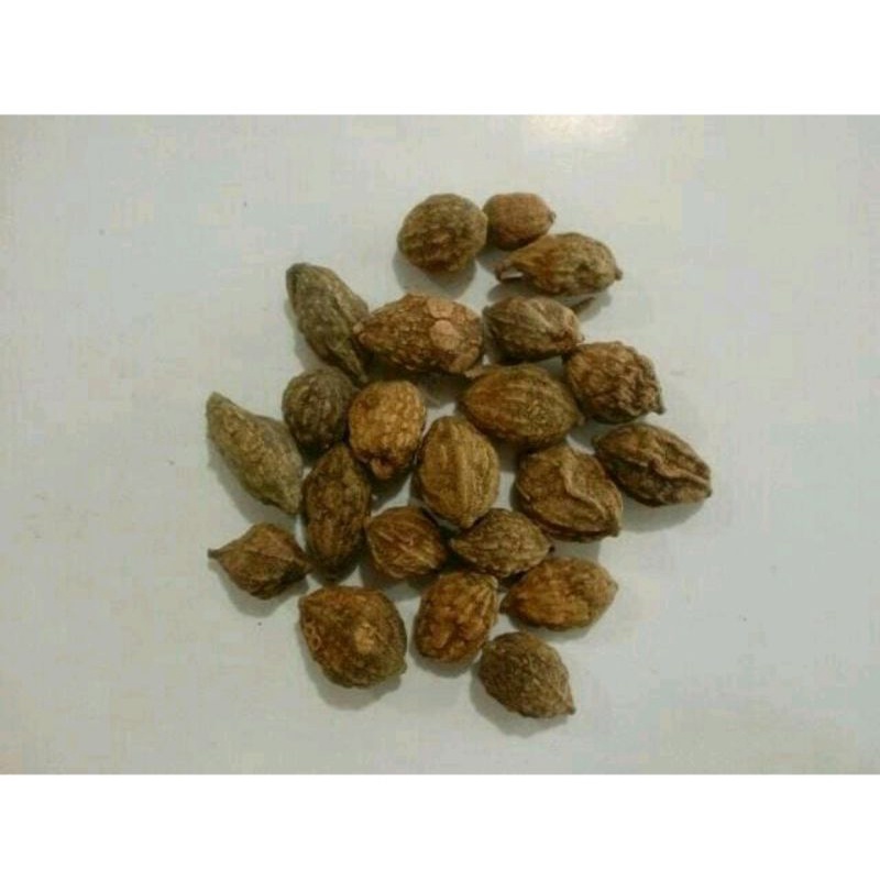 

300 G GR GRAM YI ZHI REN BLACK CARDAMOM ALPINIA OXYPHILLA FRUIT