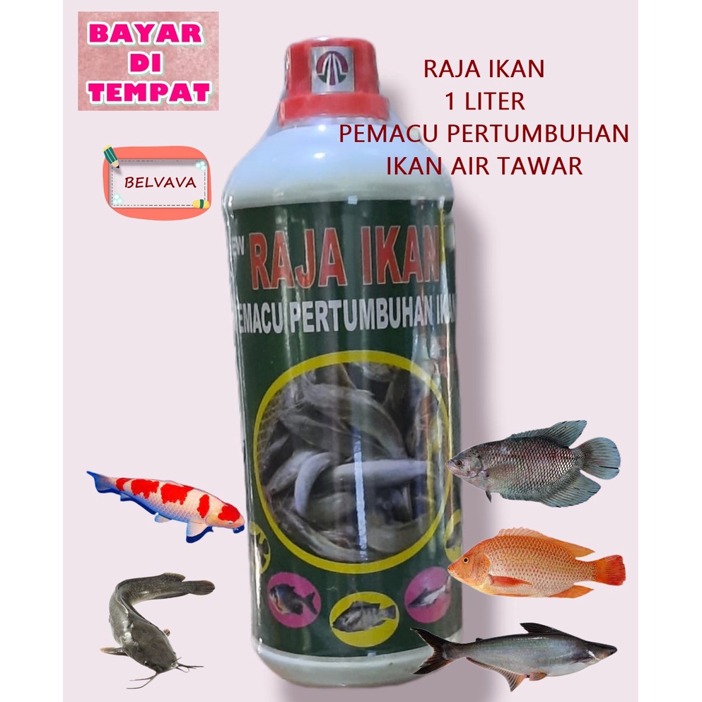 Raja Ikan 1 Liter - Obat Vitamin Penambah Nafsu Makan Ikan Penggemuk Ikan