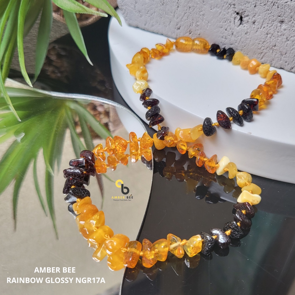 PROMO Termurah Kalung Amber Bayi Anak Premium Glossy Rainbow Nugget By Amber Bee