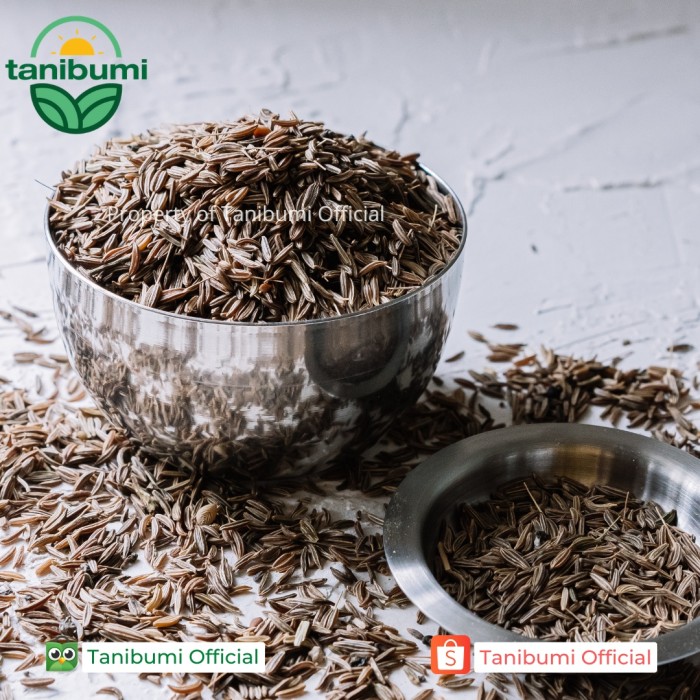 

Roxx.ea - .ea - .ea - Termurah Caraway Seed | 1Kg | Jintan Masak | Biji Jinten Premium
