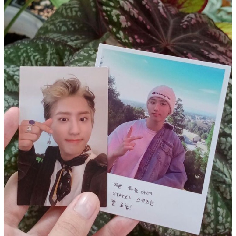 PC Han jisung Go live ver concept A dan polaroid Han jisung