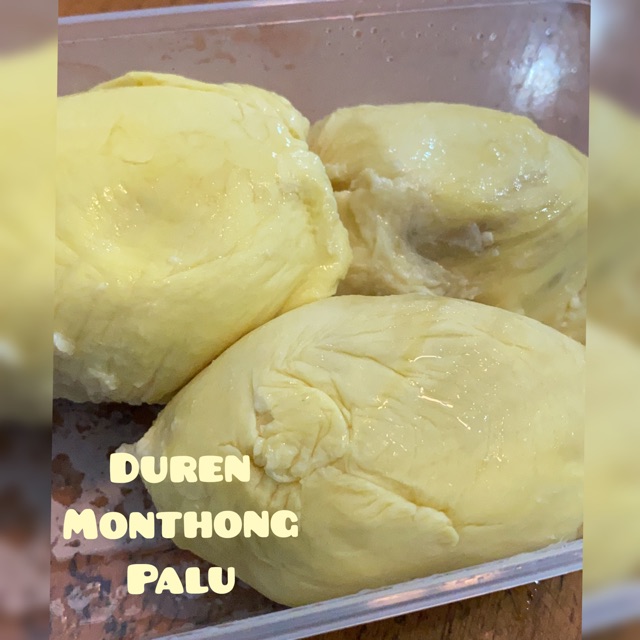 

DUREN MONTHONG PALU PREMIUM