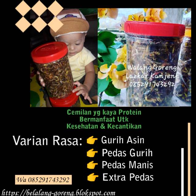 

TERLARIS Belagor (utes) rasa gurih asin kemasan Toples Sosis