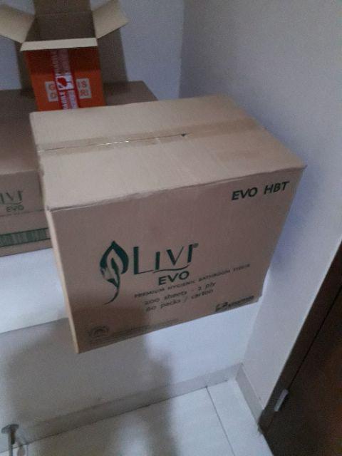 Tisu/tissu/tissue Livi - Hbt