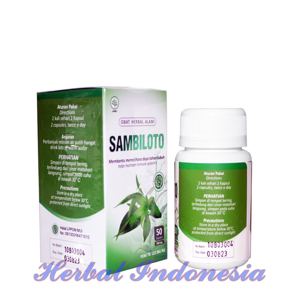 Kapsul SAMBILOTO Toga Nusantara | Obat Herbal Diabetes isi 50 Kapsul