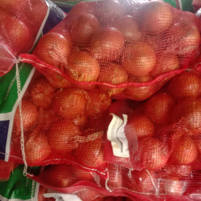 

Diskon bawang bombay new zealand - Pedas Big Sale