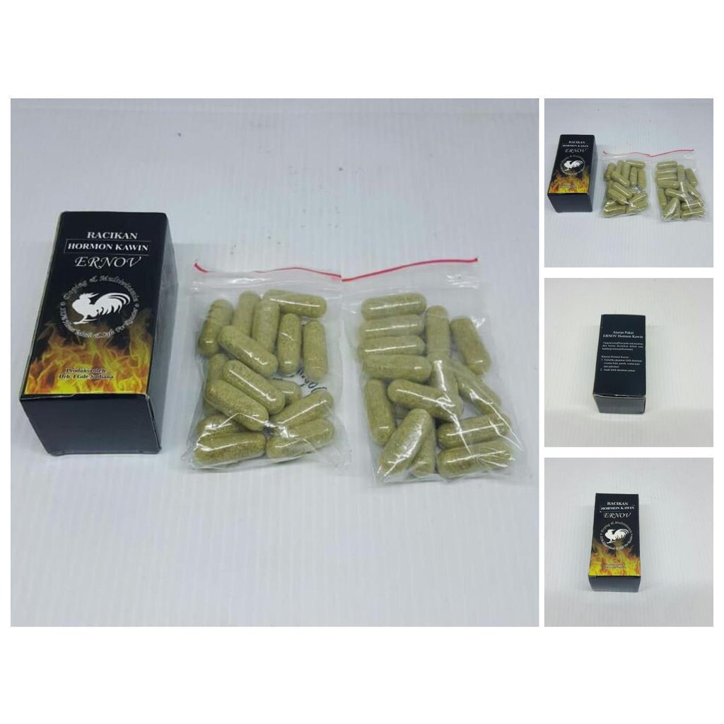 hormon kawin ayam petarung ernov