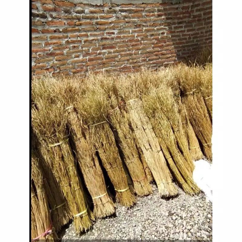 AKAR MANON isi 100 biji #AKAR RUSTIC#RANTING#AKAR RANTING PRINTING AKAR MANON UNTUK HIASAN HAJATAN