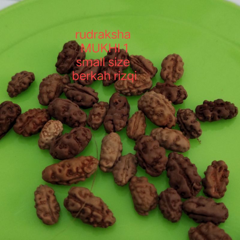 liontin rudraksha mukhi 1 kecil