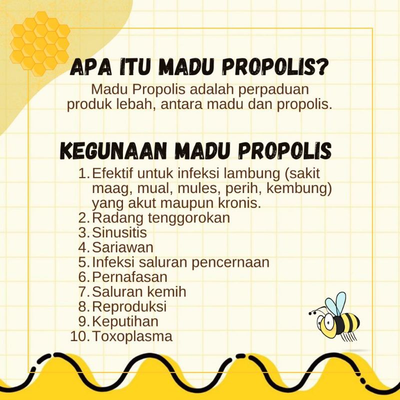 Ikhsan Ferdinan Madu Propolis Infeksi - Peternakan Tawon Rimba Raya 500 Ml Kemasan Jurigen
