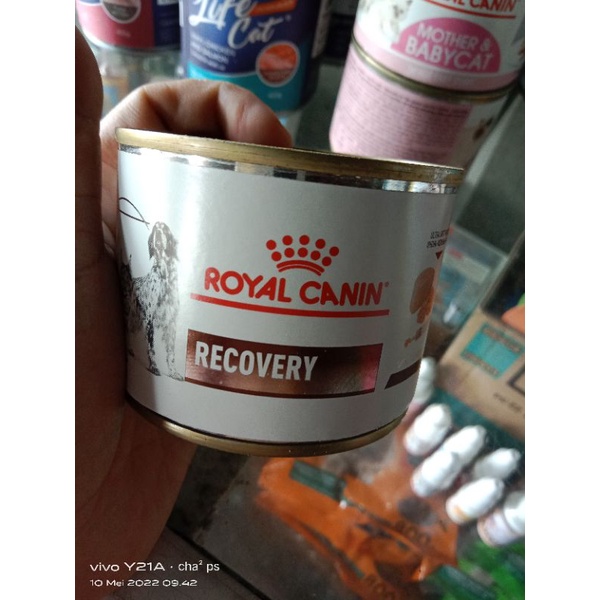 ROYAL CANIN RECOVERY