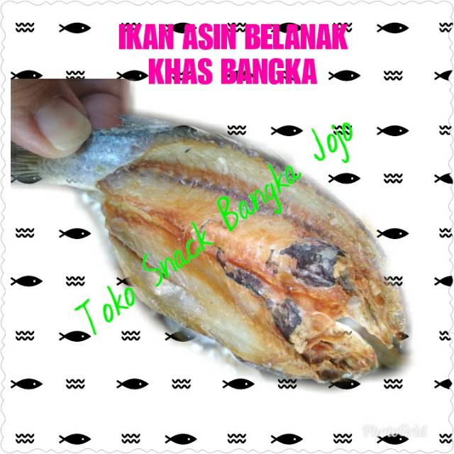 

IKAN ASIN BELANAK KHAS BANGKA KUALITAS SUPER NETTO 500GRAM