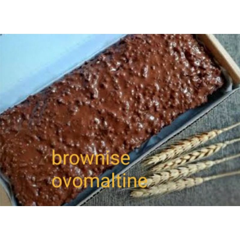 

brownies ovomaltine