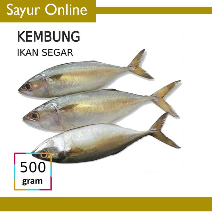 

[SayurOnline] IKAN KEMBUNG [500g]