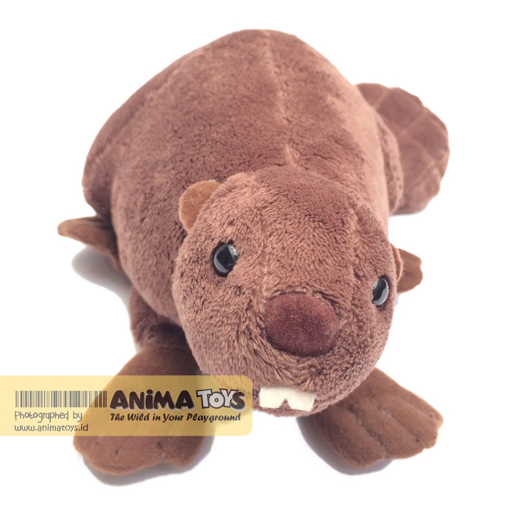 Boneka Hewan Berang Berang Mini Beaver Animatoys Saq001 Shopee