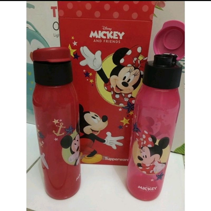 Botol minum anak tupperware eco battle 500ml mickey minie with box