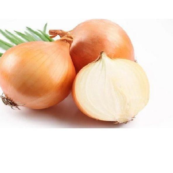 

◄ Bawang Bombay 1 kg ☋
