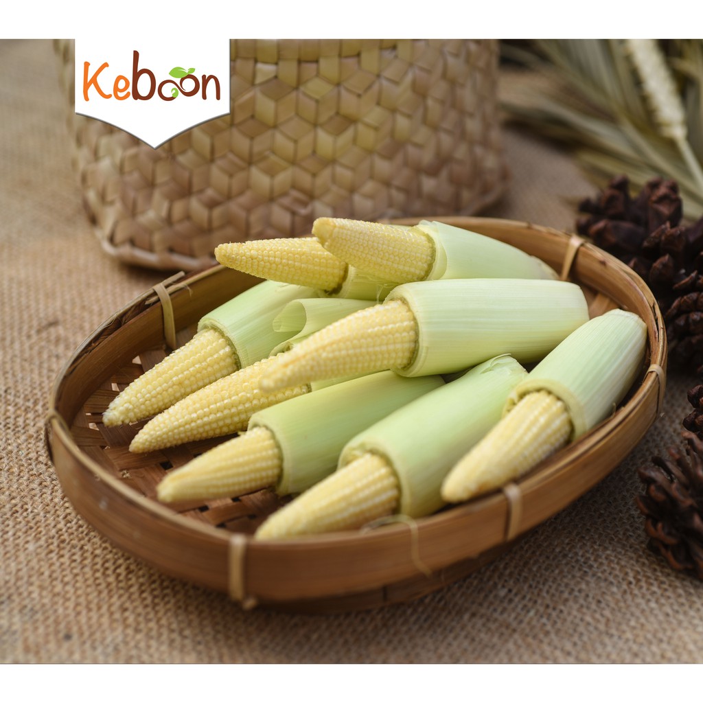 

Jagung Muda / Baby Corn (250 gr)