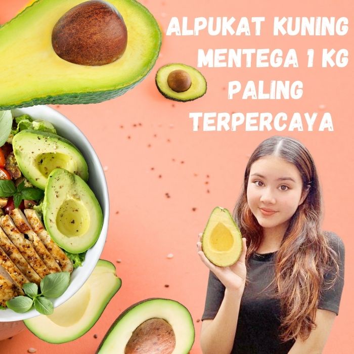 

ALPUKAT MENTEGA BERGARANSI ALPUKAT KUNING SEHAT 1 KG ISI 3 BUAH SUPER UKURAN BESAR JUMBO