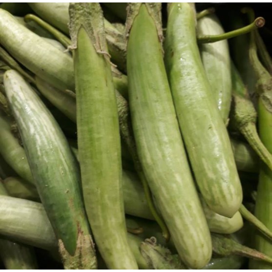 

Terong Telunjuk Medan TERMURAH!!! 250gr