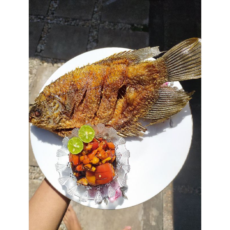

Gurame Goreng Kering + sambel