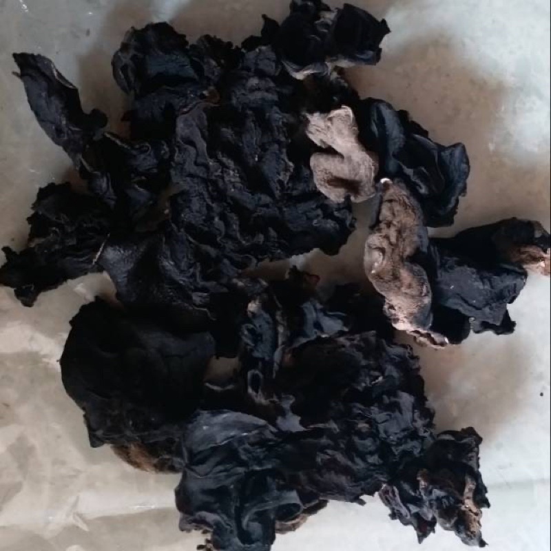 

JAMUR KUPING HITAM 100 gr MERK SU BRAND