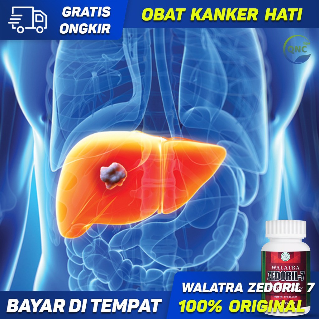 Obat Kanker Hati, Obat Kanker, Obat Kanker Herbal, Obat Herbal Kanker - Walatra Zedoril 7