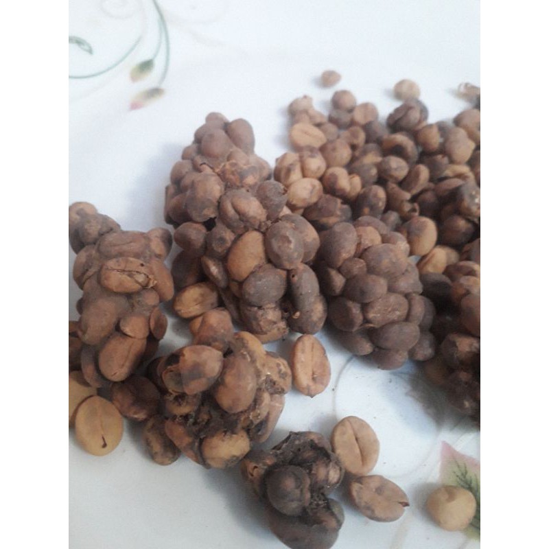 KOPI LUWAK BIJI  1KG  ASLI