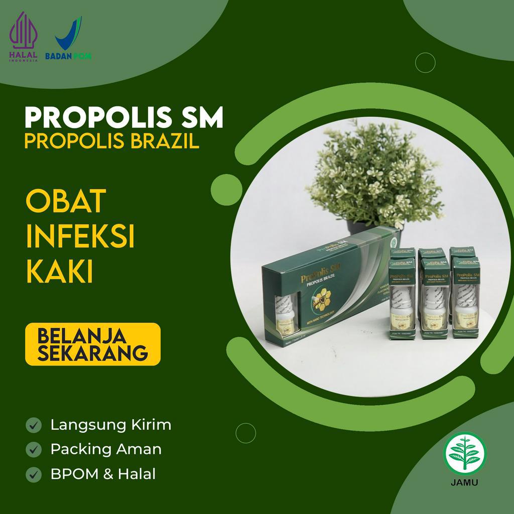 PROPOLIS sm ORIGINAL Brazil Asli Sebagai Obat herbal vitamin & suplemen kualitas GOLD