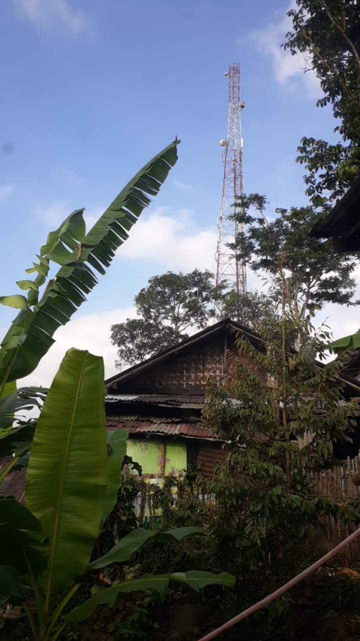 Kemeja Batik Pria Lengan Panjang Size M L Xl Xxl Bswart Batik Hrb026 Kenango Hem Panjang Padi