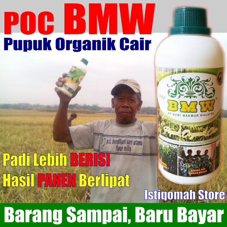 POC BMW Pupuk Organik Cair untuk Padi Berisi Hasil Panen Berlipat - Pupuk untuk Padi Bunting Terbaik