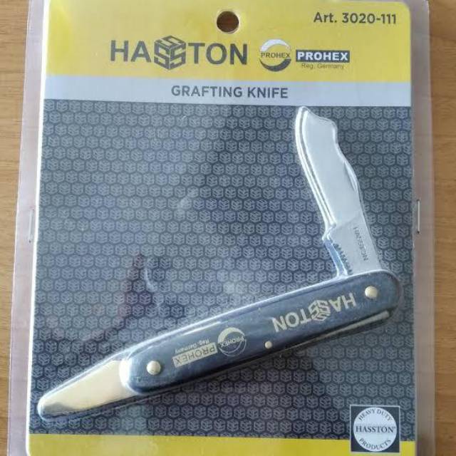 HASTON PISAU OKULASI GRAFTING TIME