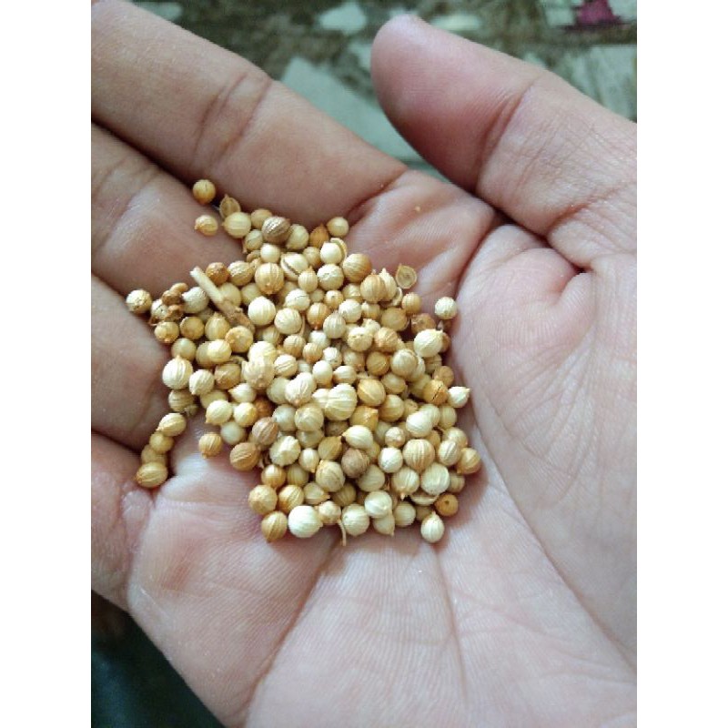 

Ketumbar Super 250 Gr