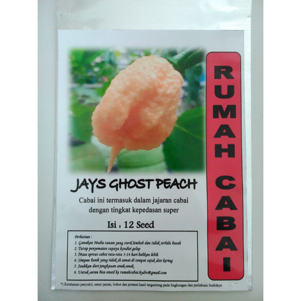 BENIH CABAI JAYS GHOST PEACH CABAI SUPER PEDAS CABAI TERPEDAS RUMAH CABAI BENIH CABE