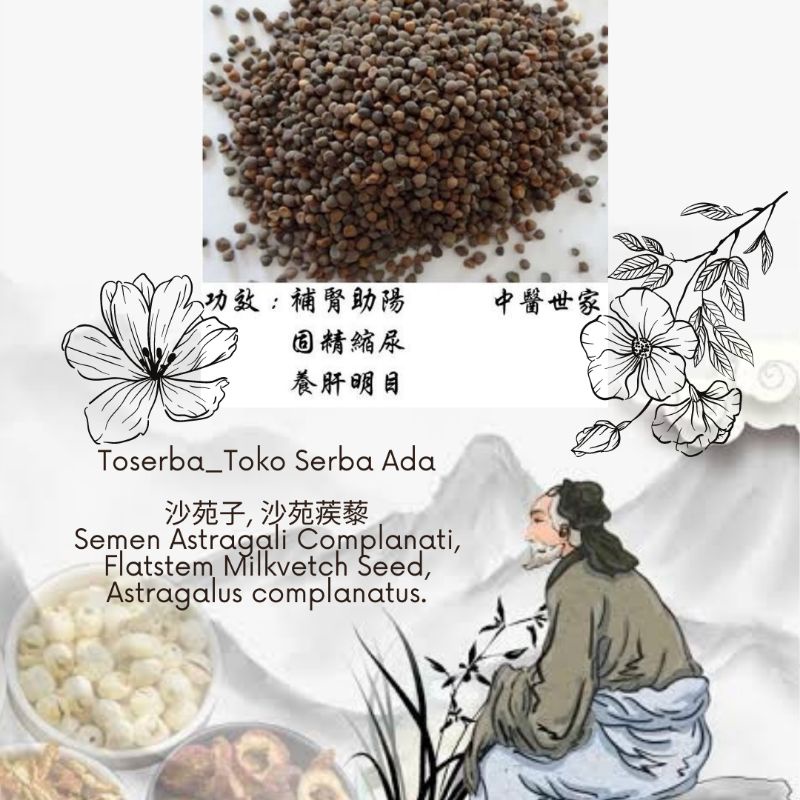 

100gr Herbal Sha Yuan Ji Li 沙苑蒺藜 Tribulus Terrestris Flatstem Milkvetch Seed Semen Astragali Complanati