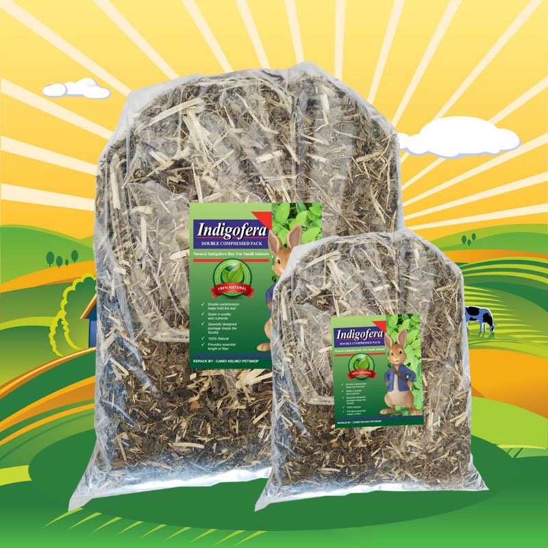 Makanan Kelinci Camilan Kelinci Rumput Hay Indigofera 100 gr