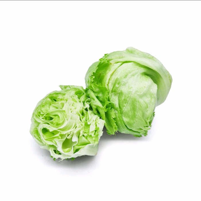 

LETTUCE - 500-600 gr