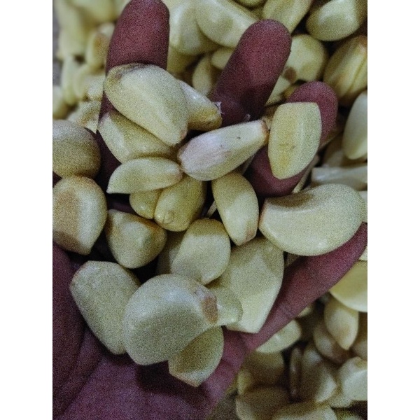 Bawang Putih Kupas 1kg