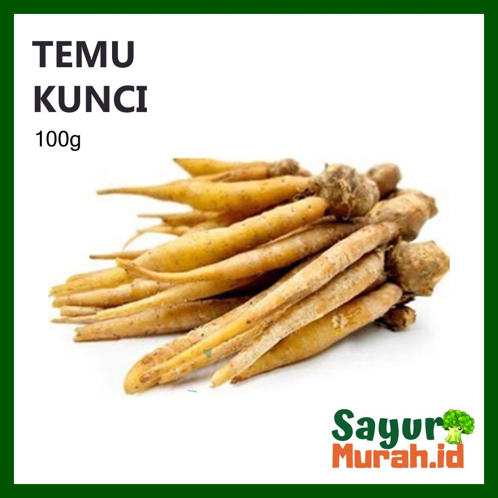 

TEMU KUNCI [100g]