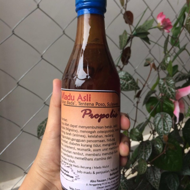 

Madu asli hutan propolis / klanceng / kelulut