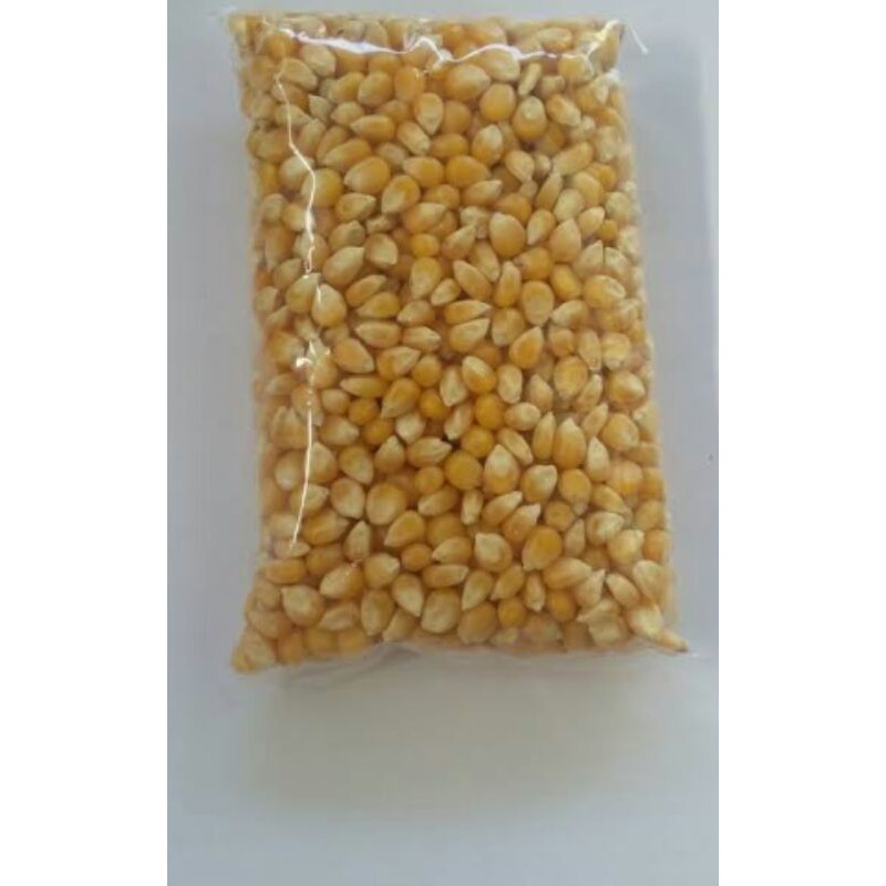 

jangung pop corn mentah kwalitas super