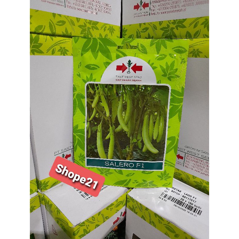 Benih Terong Hijau Salero isi 400 biji