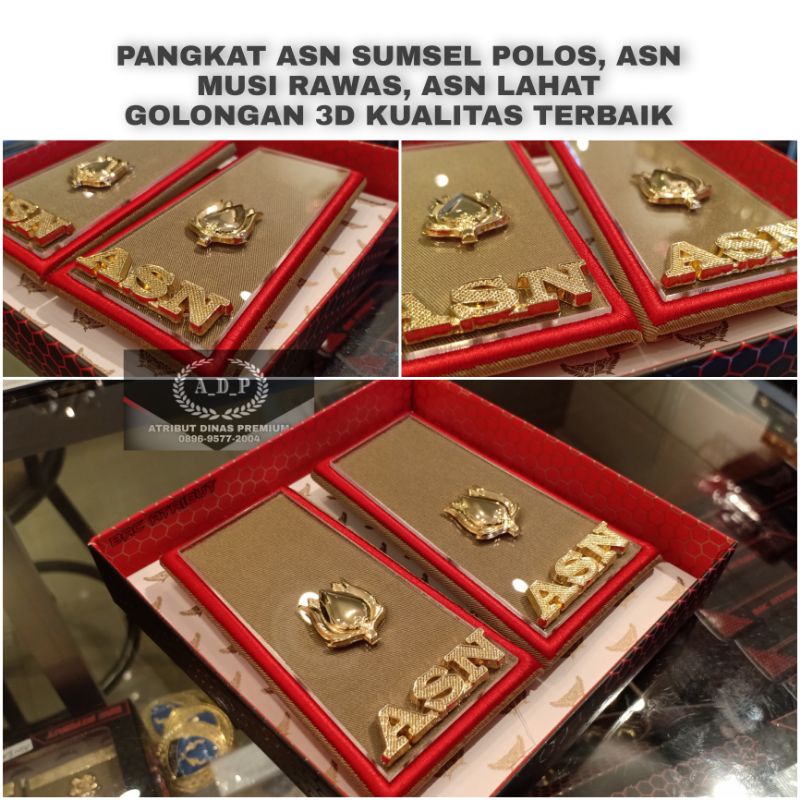 Pangkat ASN MUSI RAWAS Golongan 3D
