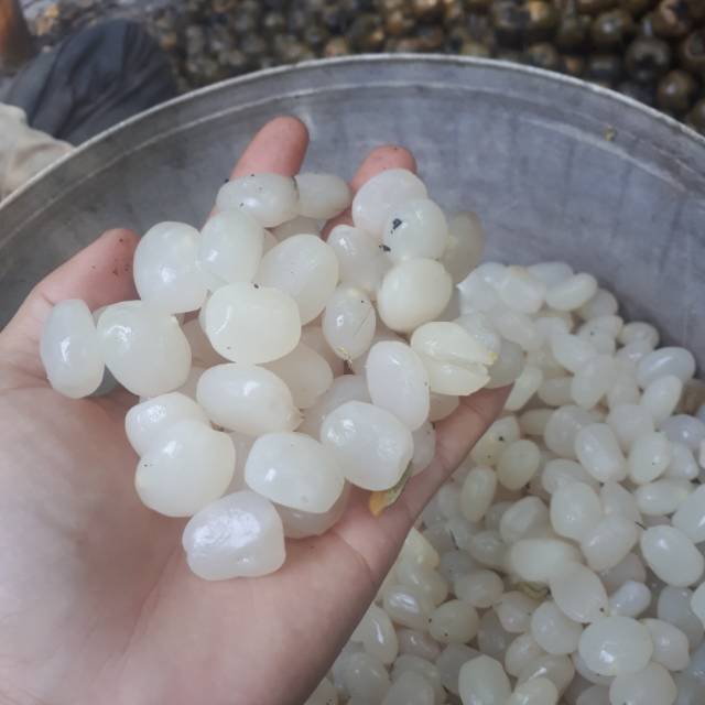 

Promo Jual kolang kaleng super original