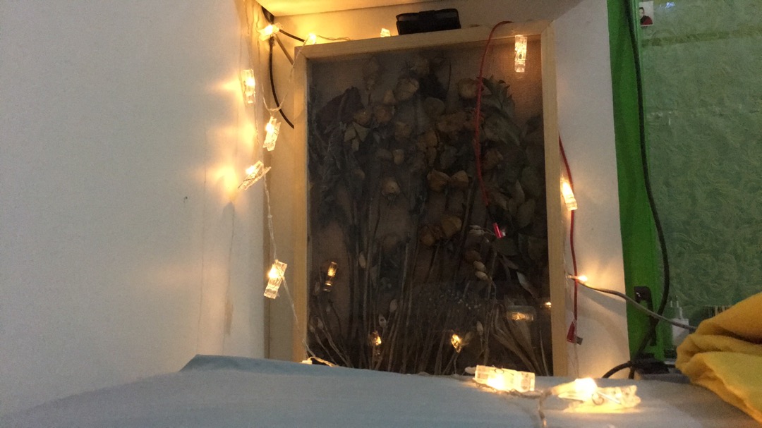 Masker Hijab Headloop Bahan Scuba Polos