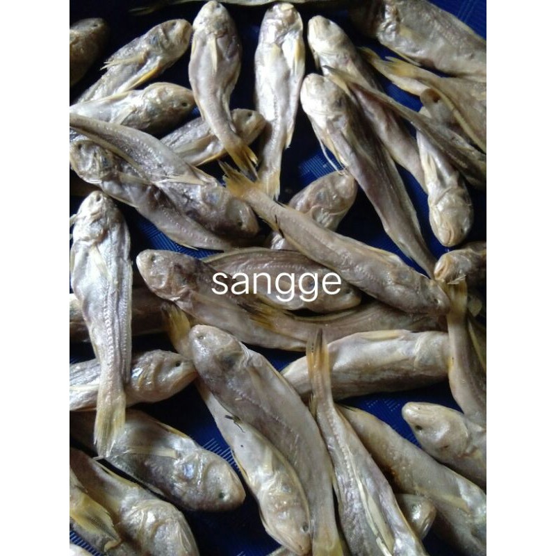 

ikan asin sangge