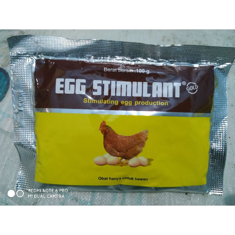 egg stimulant 100 gram vitamin telur ayam-medion