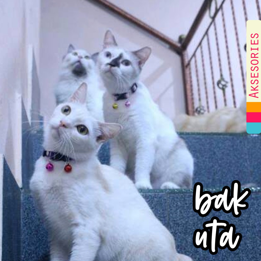 Kalung kucing dan anjing lucu murah / promo diskon aksesoris baju kucing tangerang