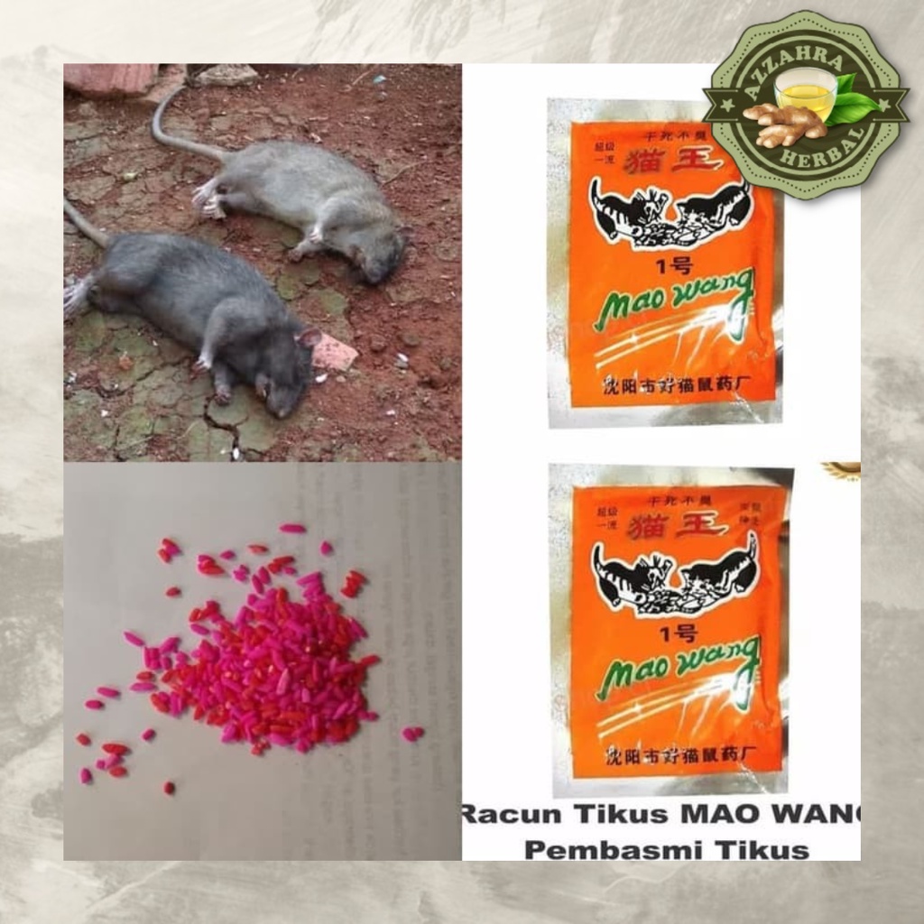 Racun Tikus Mao Wang 𝐎𝐑𝐈𝐆𝐈𝐍𝐀𝐋 / Umpan Racun Tikus Mati Kering dan Gak Bau